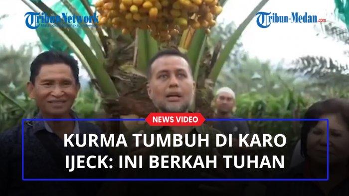 Detail Cari Gambar Pohon Kurma Dan Buahnya Nomer 24