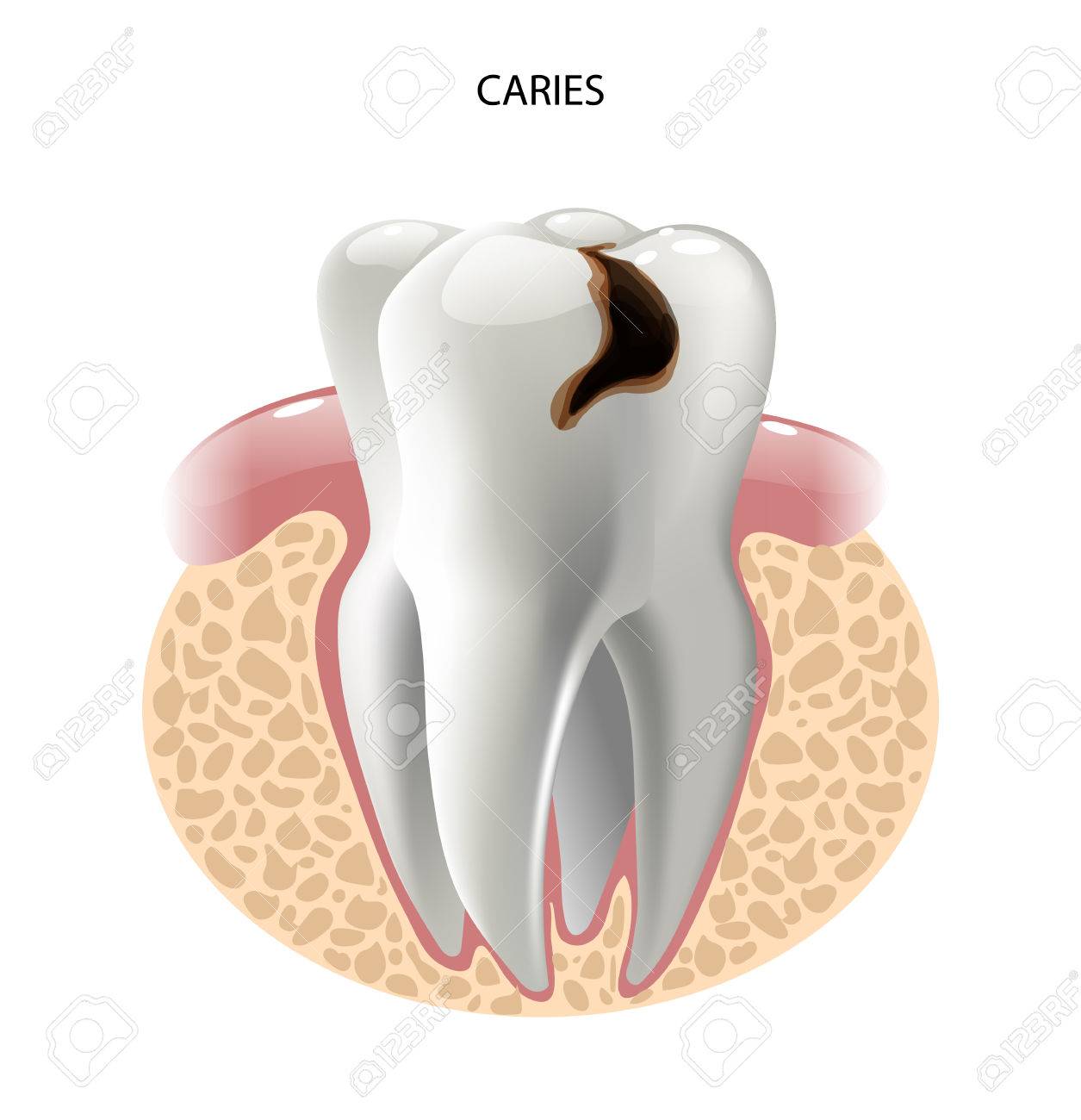 Detail Cari Gambar Vector Nomer 7