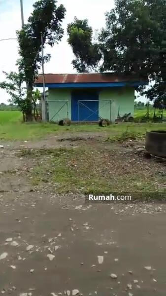 Download Cari Rumah Kampung Di Madiun Nomer 24