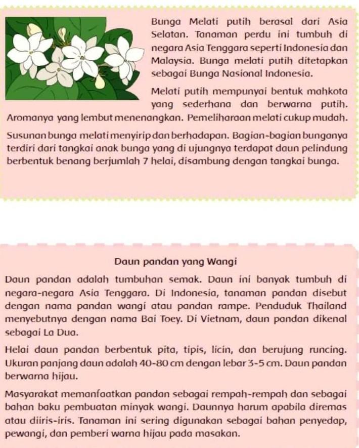 Detail Carilah Gambar Bunga Melati Nomer 47