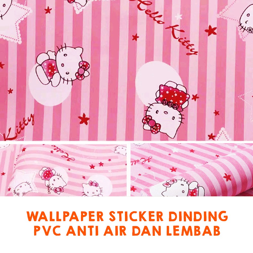 Detail Cat Kamar Hello Kitty Nomer 34