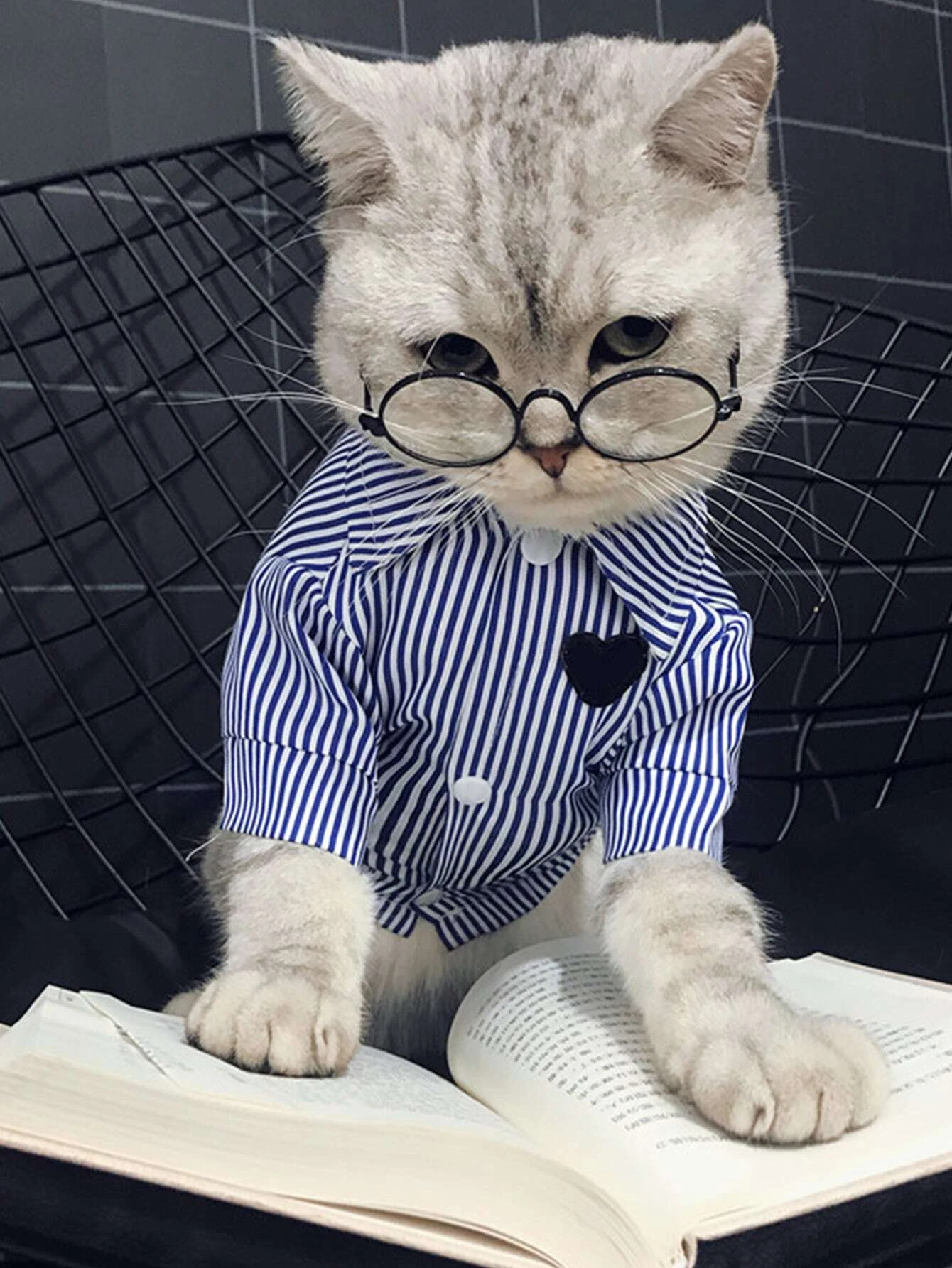 Detail Cat With Glasses Nomer 13