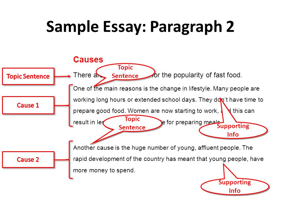 Detail Cause And Effect Thesis Template Nomer 44