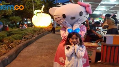 Detail Cerita Boneka Hello Kitty Nomer 14