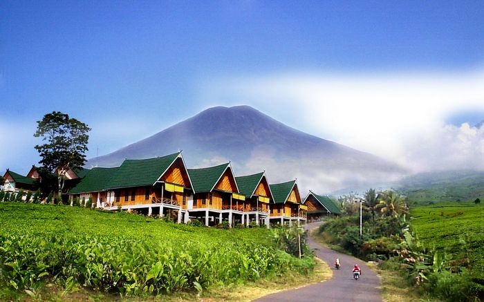 Detail Cerita Liburan Ke Rumah Paman Dalam Bahasa Inggris Nomer 28