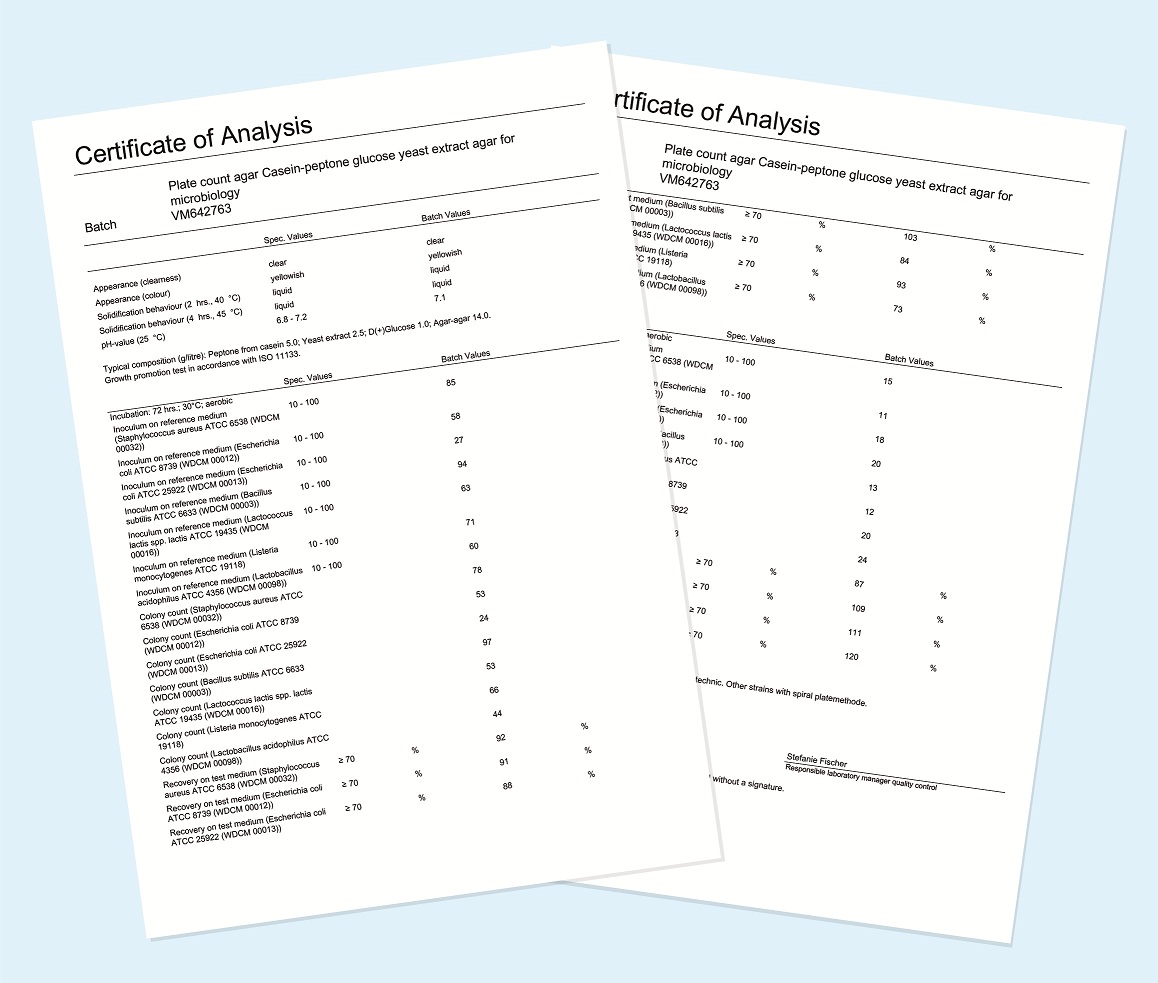 Detail Certificate Of Analysis Template Word Nomer 25