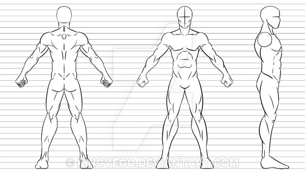 Detail Character Model Template Nomer 6