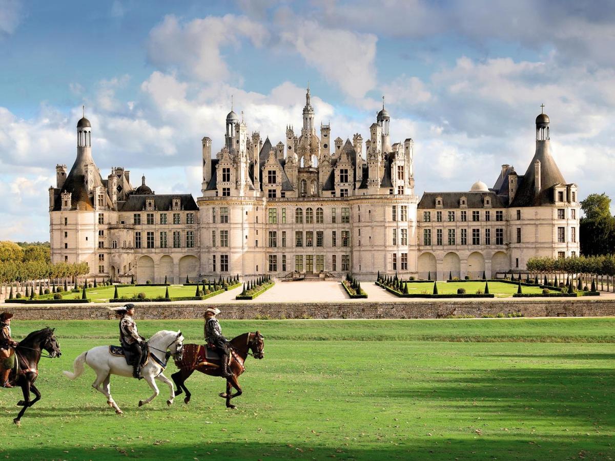 Detail Chateau De Chambord Nomer 19