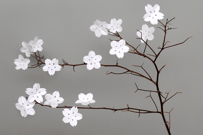 Detail Cherry Blossom Paper Flower Template Nomer 7