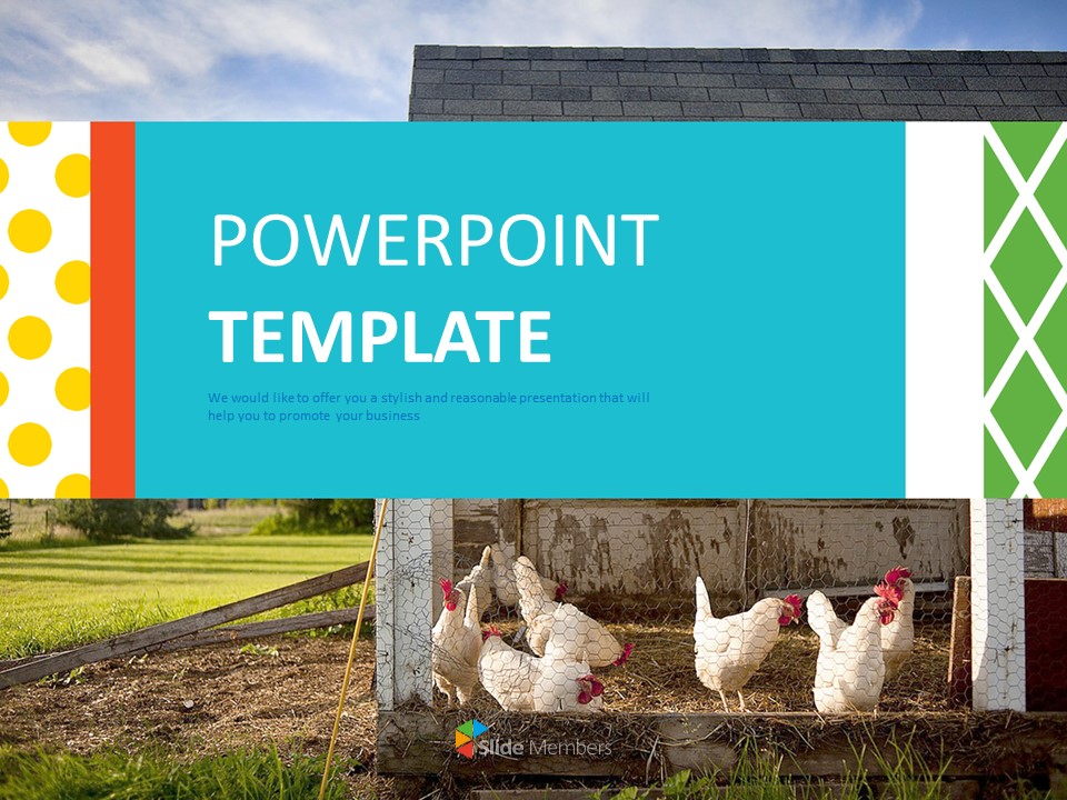 Detail Chicken Powerpoint Template Nomer 12