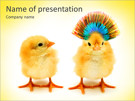 Detail Chicken Powerpoint Template Nomer 18