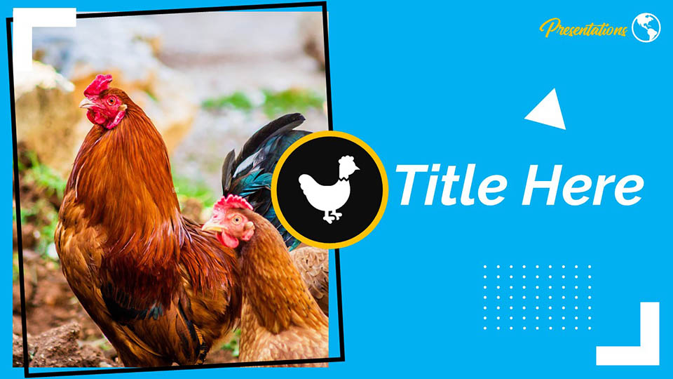 Detail Chicken Powerpoint Template Nomer 26