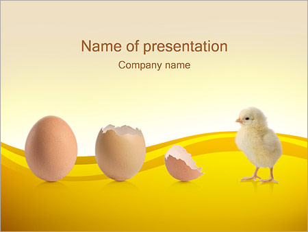 Detail Chicken Powerpoint Template Nomer 4