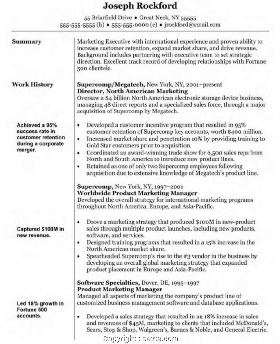 Detail Chief Marketing Officer Job Description Template Nomer 28