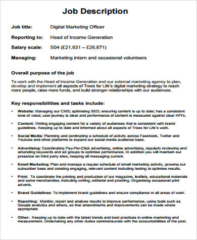 Detail Chief Marketing Officer Job Description Template Nomer 36