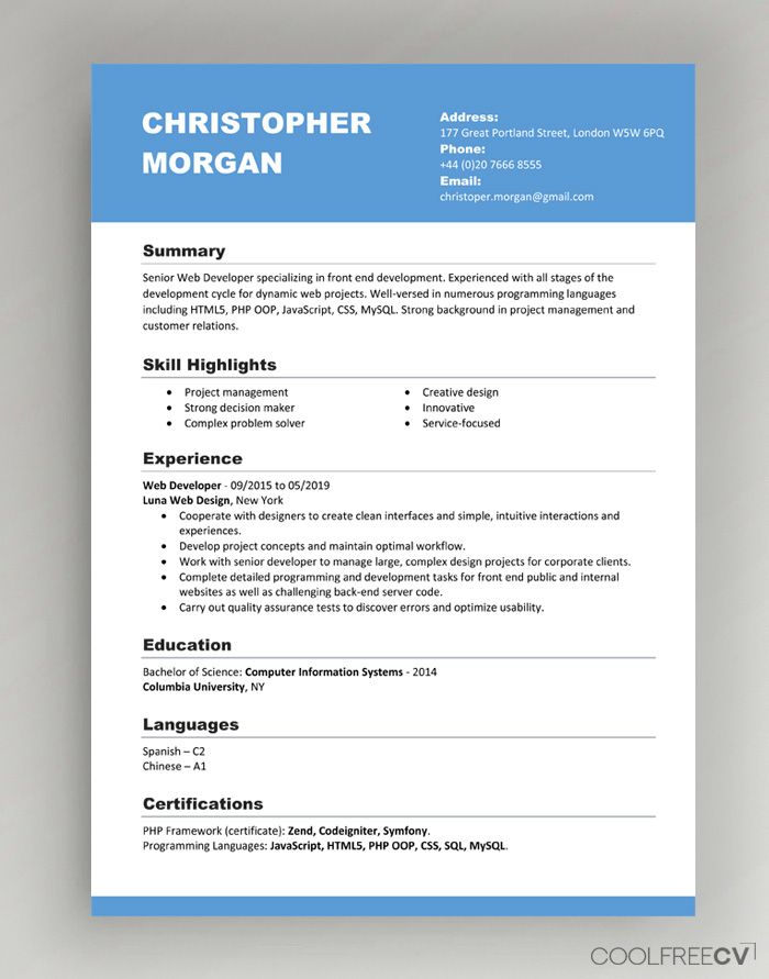 Detail Chinese Cv Template Download Nomer 18