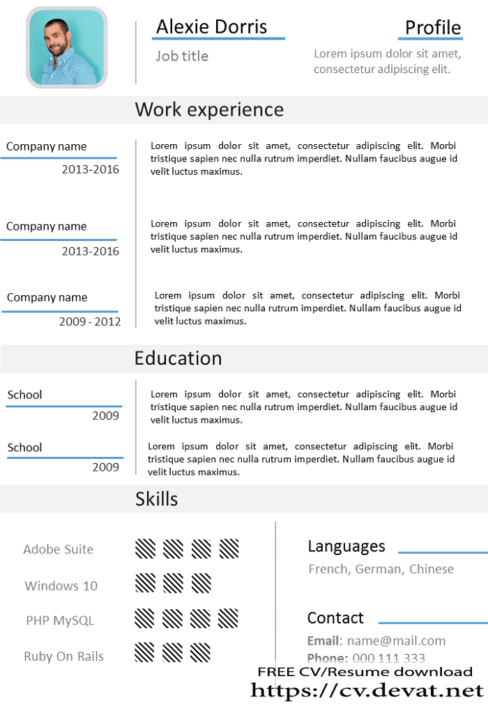 Detail Chinese Cv Template Download Nomer 19