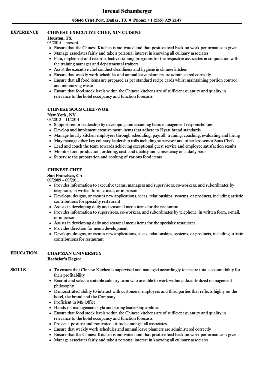 Download Chinese Cv Template Download Nomer 42