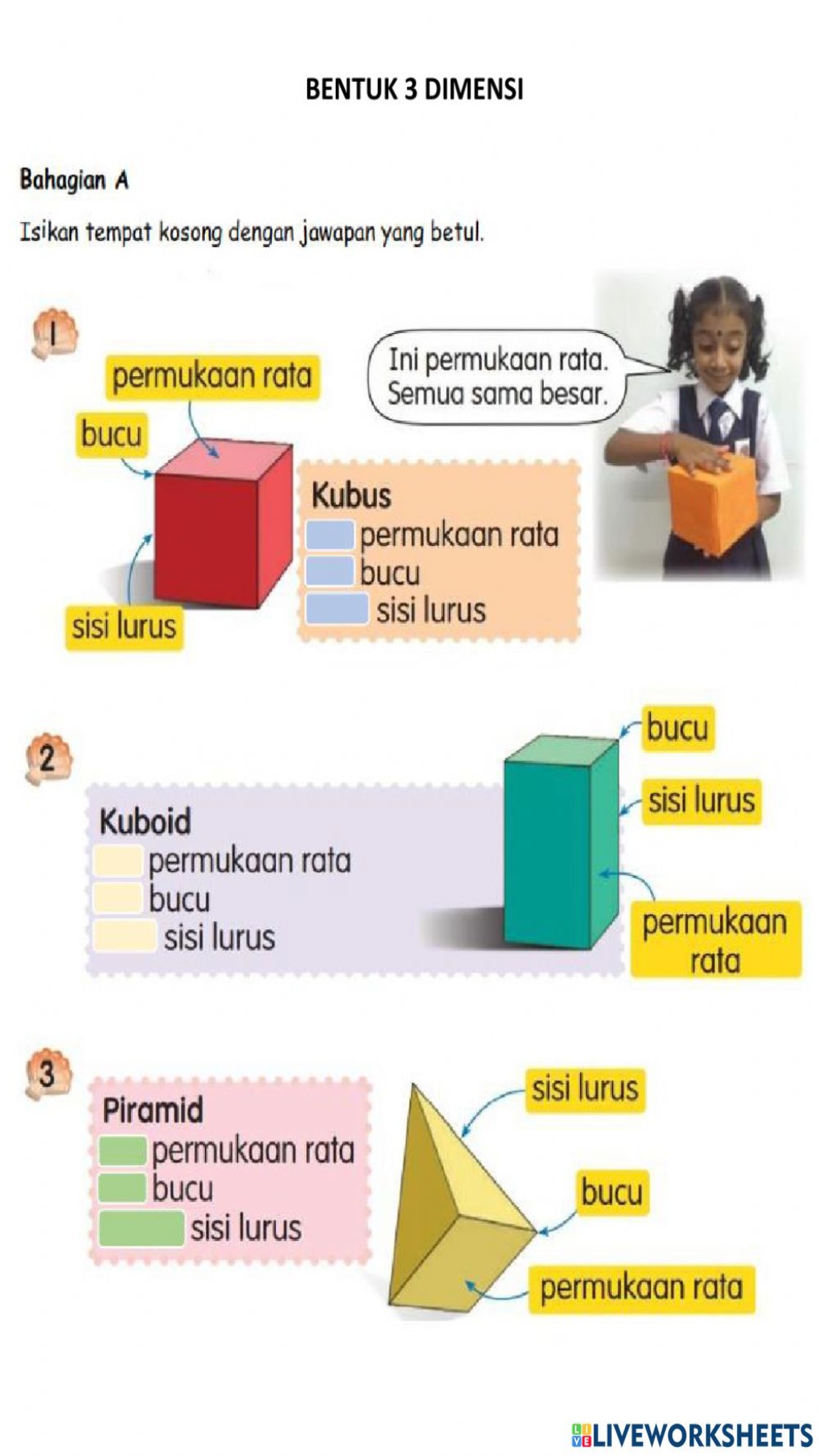 Detail Ciri Ciri Gambar 3 Dimensi Nomer 18