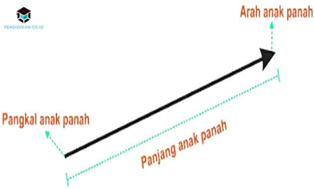 Detail Ciri Ciri Gambar Vektor Nomer 44