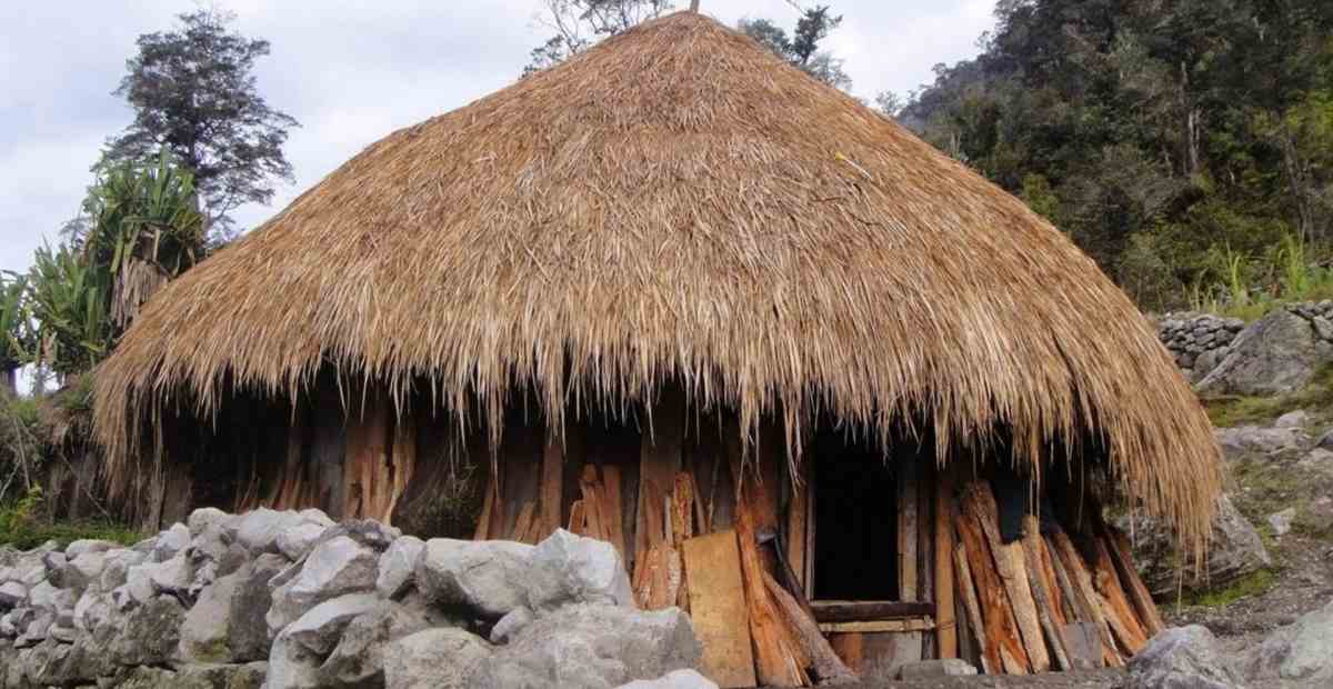 Detail Ciri Khas Rumah Adat Papua Nomer 7