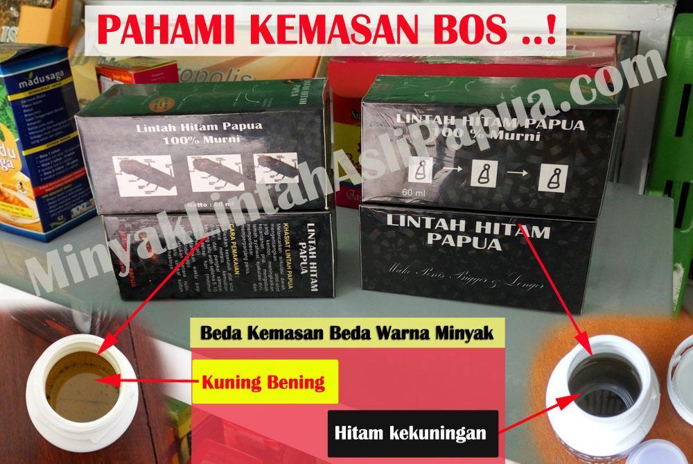 Detail Ciri Minyak Lintah Asli Nomer 28