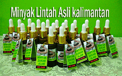 Detail Ciri Minyak Lintah Asli Nomer 32
