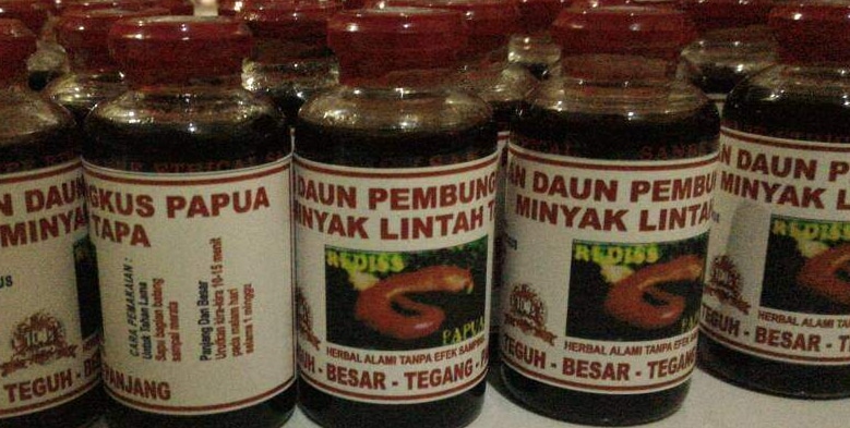 Detail Ciri Minyak Lintah Asli Nomer 41