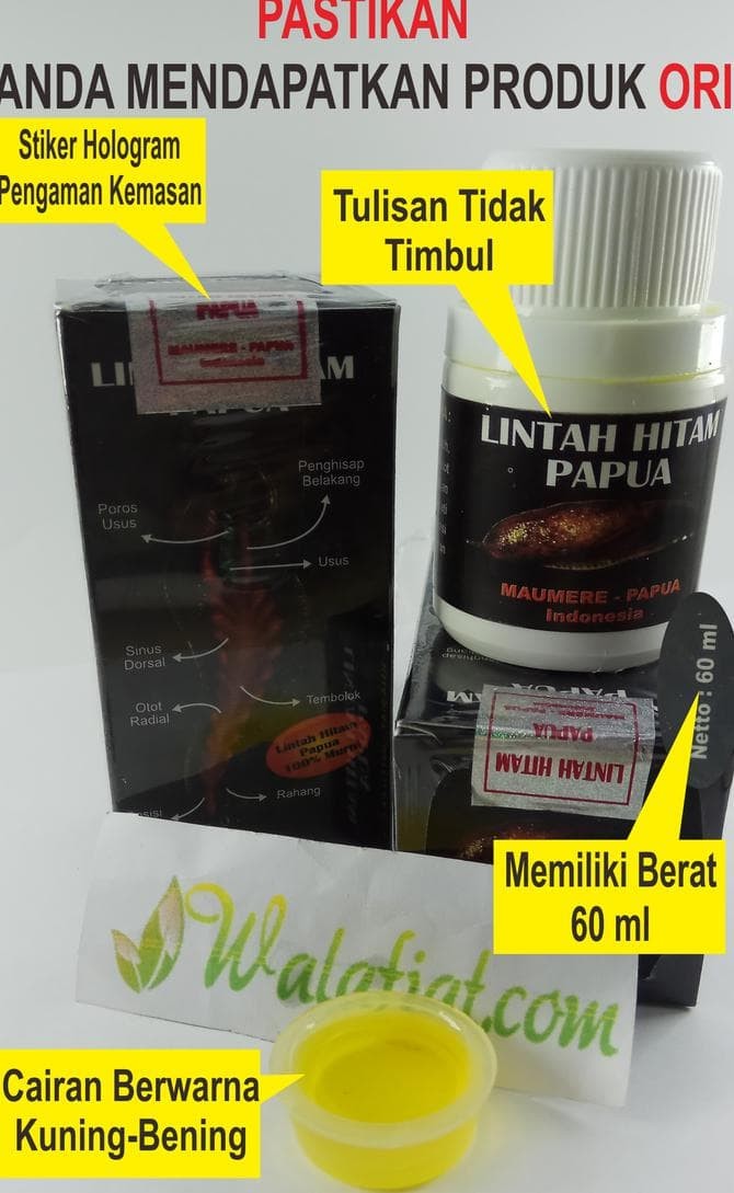 Detail Ciri Minyak Lintah Asli Nomer 6