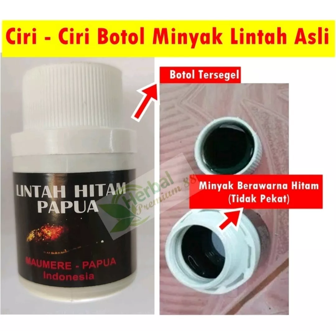 Detail Ciri Minyak Lintah Asli Nomer 7