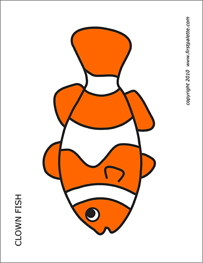 Detail Clown Fish Template Nomer 9