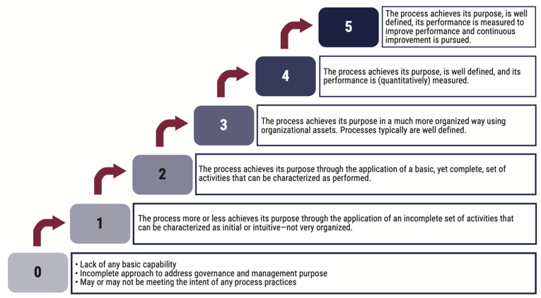 Download Cobit 5 Assessment Template Nomer 27