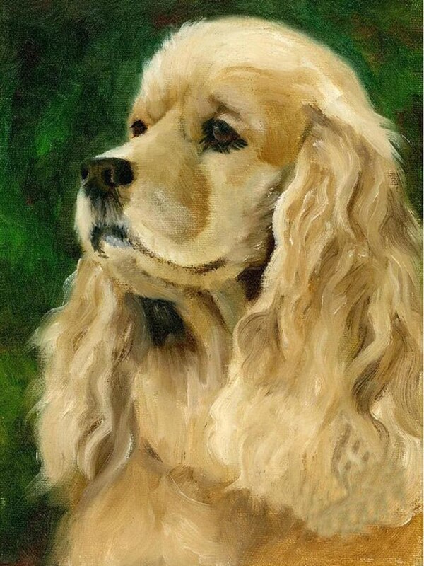 Detail Cocker Spaniel Inggris Nomer 20