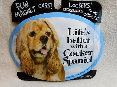 Detail Cocker Spaniel Inggris Nomer 21