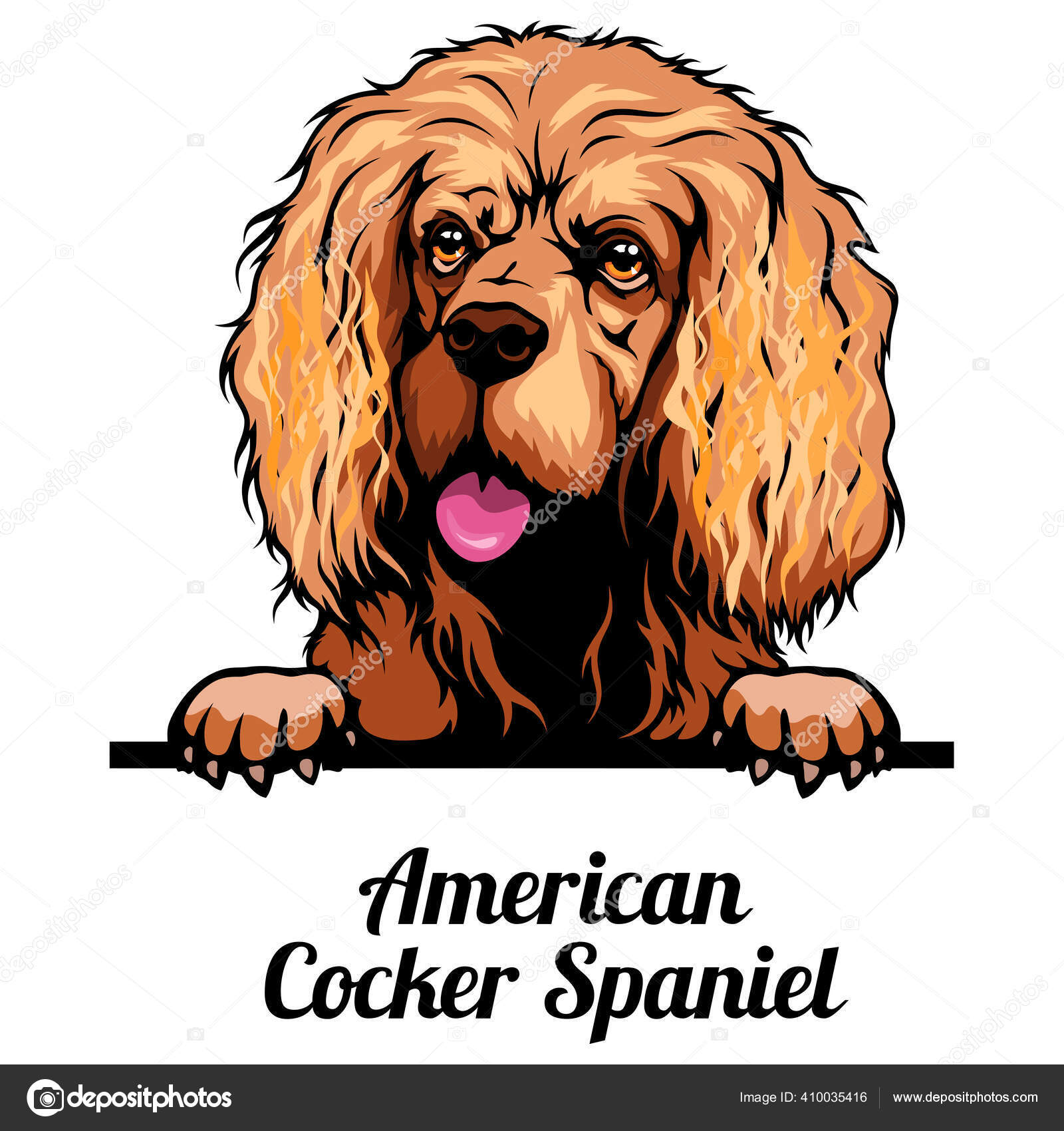 Detail Cocker Spaniel Inggris Nomer 24