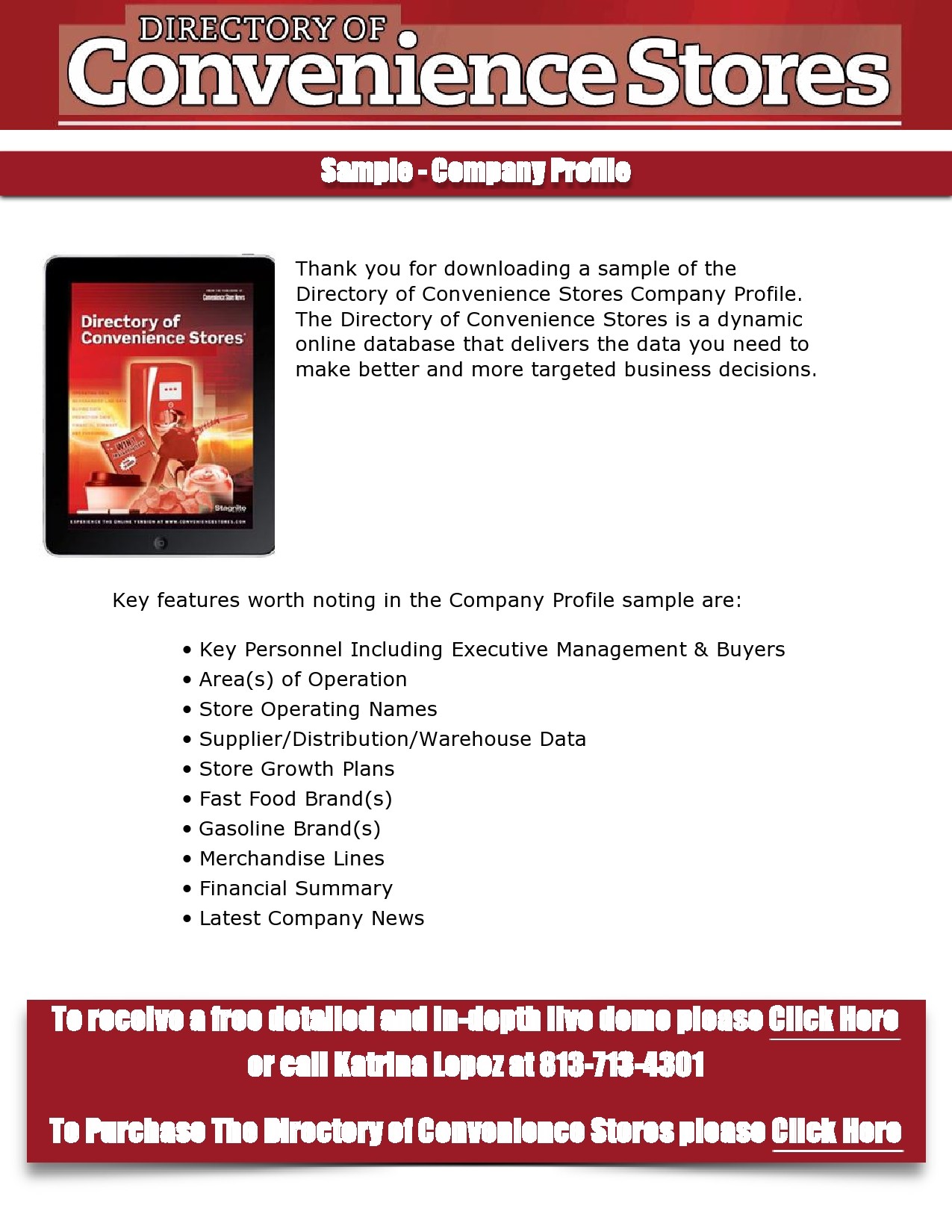 Detail Company Profile Template Example Nomer 2