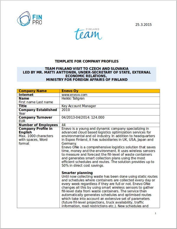 Detail Company Profile Template Example Nomer 14