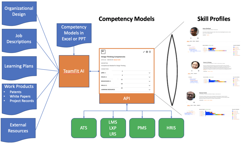 Detail Competency Model Template Nomer 8