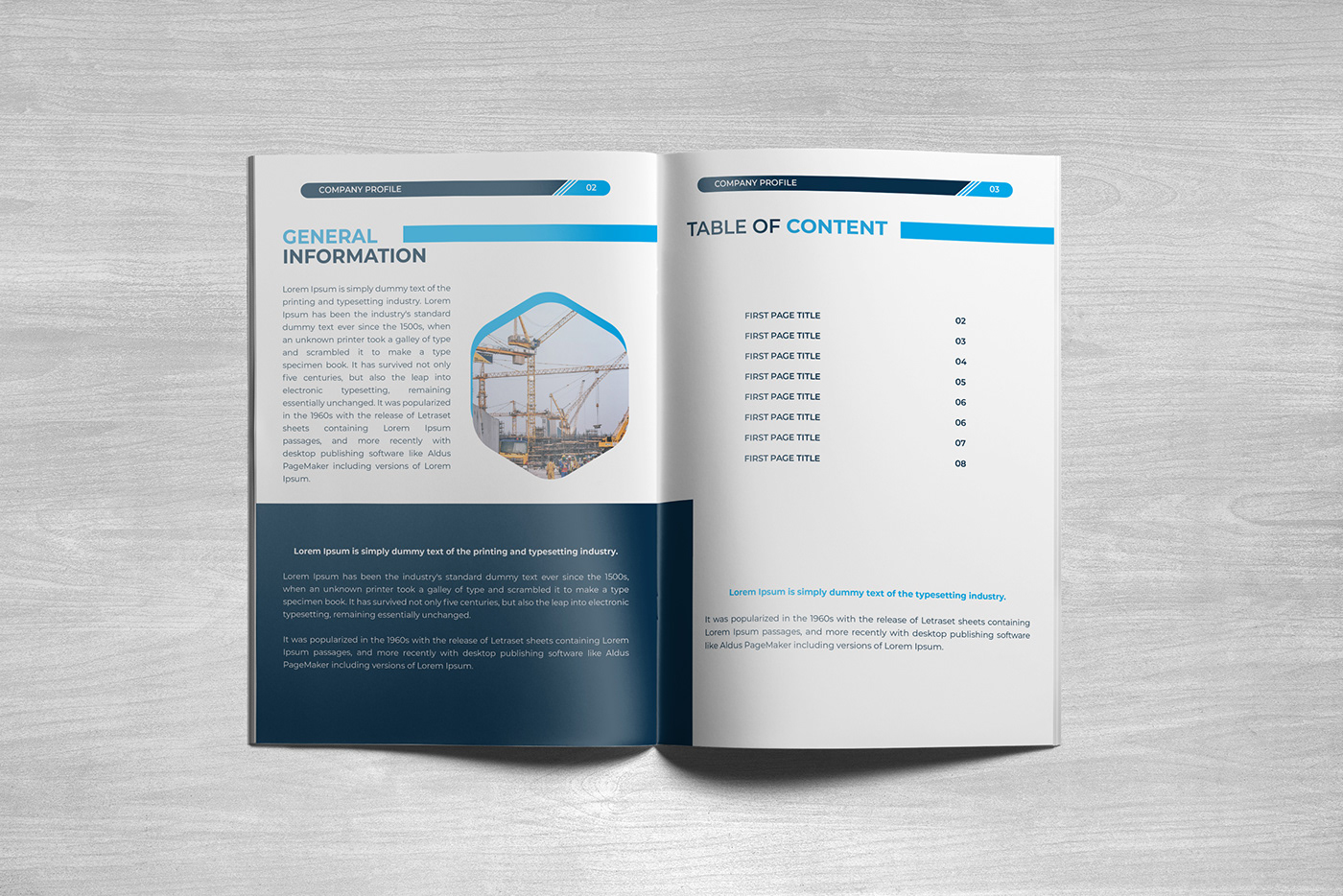 Detail Construction Company Profile Template Nomer 8
