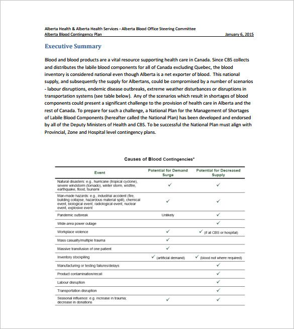 Detail Contingency Plan Template Nomer 38