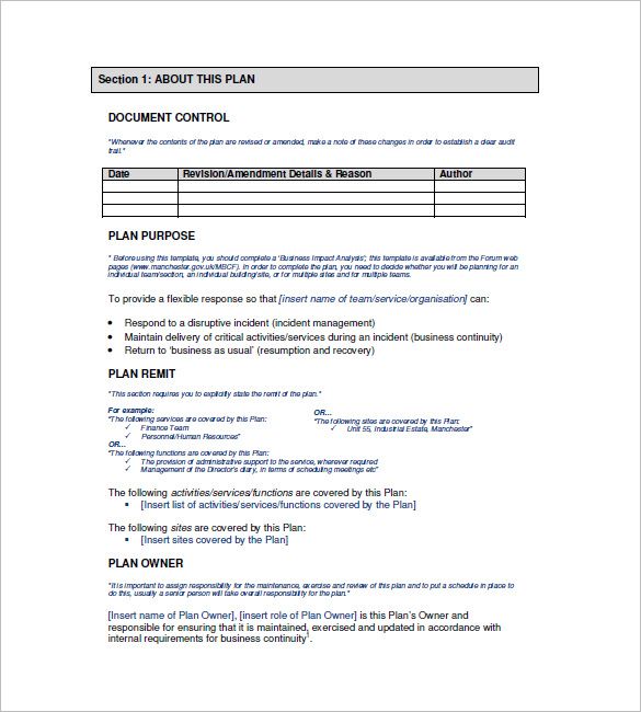 Detail Continuity Plan Template Nomer 49