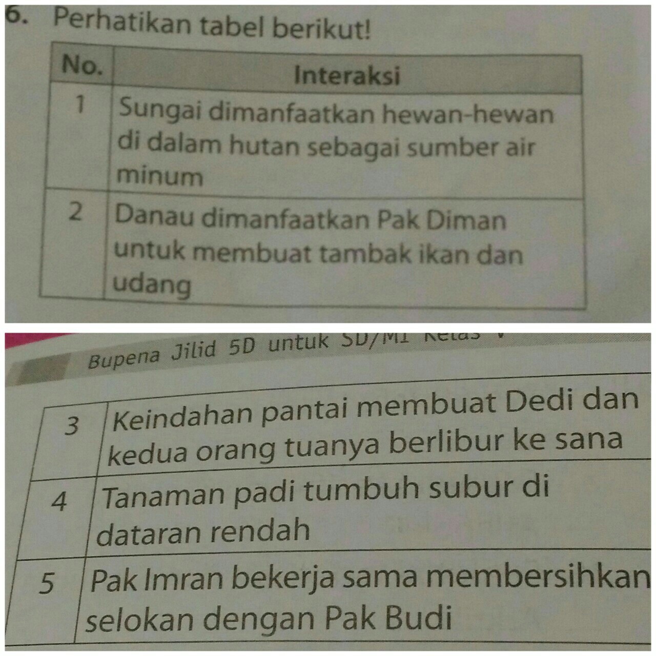 Detail Contoh Aktivitas Manusia Nomer 20