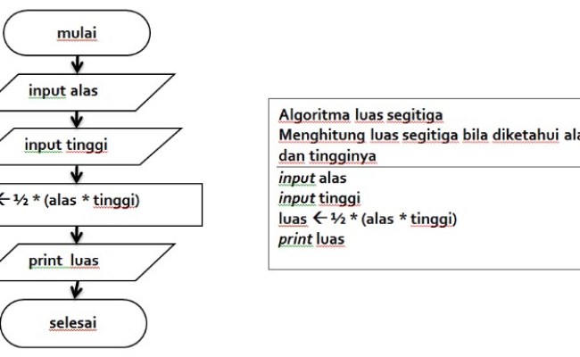 Detail Contoh Algoritma Menghitung Luas Segitiga Nomer 22