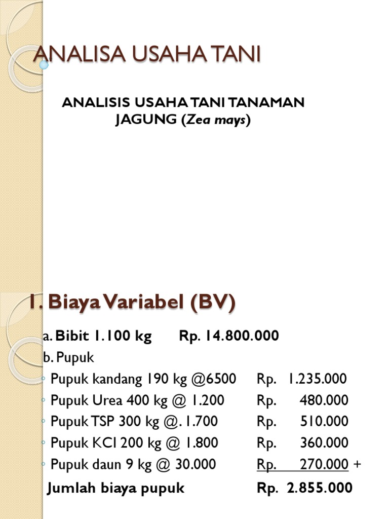 Detail Contoh Analisa Usaha Nomer 4