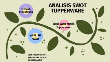 Detail Contoh Analisis Swot Perusahaan Nomer 16