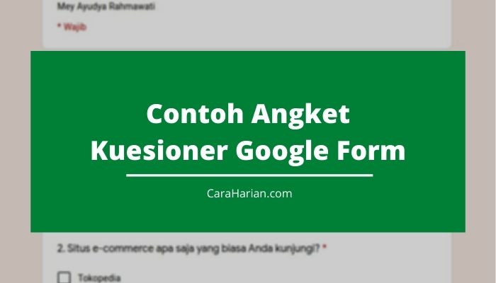 Download Contoh Angket Wawancara Nomer 31