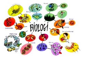 Detail Contoh Artikel Biologi Nomer 27