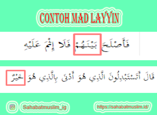 Detail Contoh Bacaan Mad Badal Beserta Surat Dan Ayatnya Nomer 34