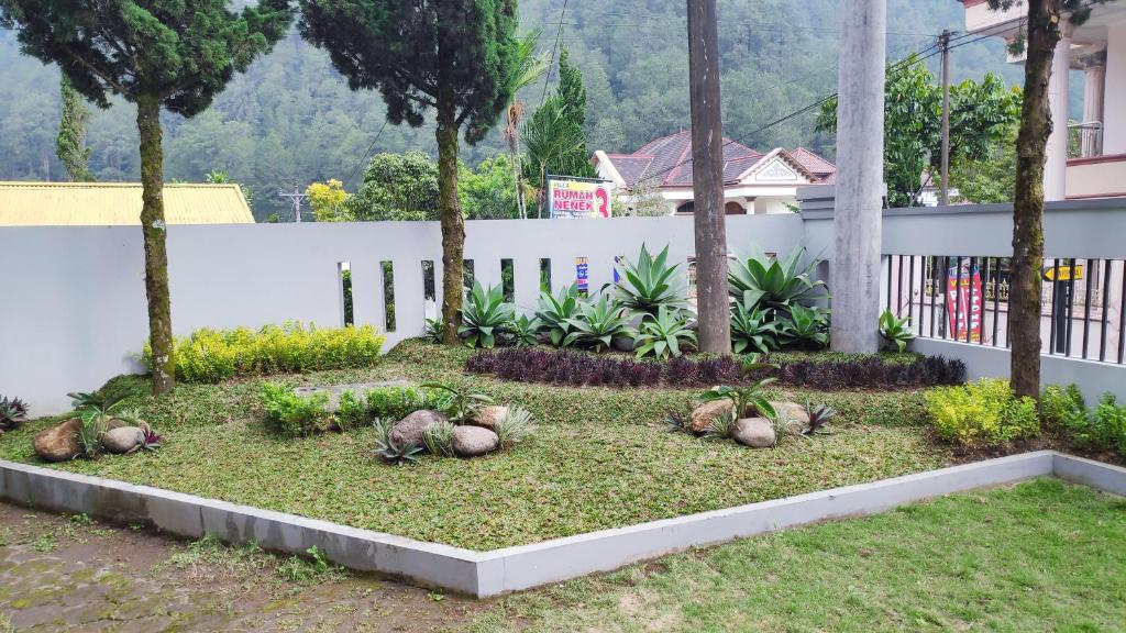 Detail Contoh Bedding Plants Atau Tanaman Taman Adalah Nomer 22