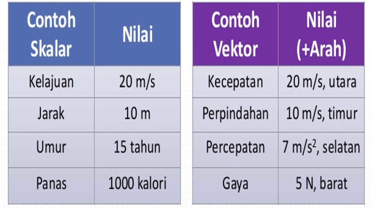 Detail Contoh Besaran Vektor Dan Skalar Nomer 3